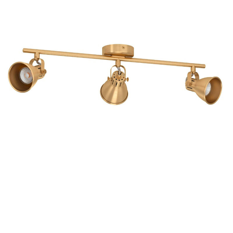 Goldene industrielle Deckenstrahler Aluminium, Tinke