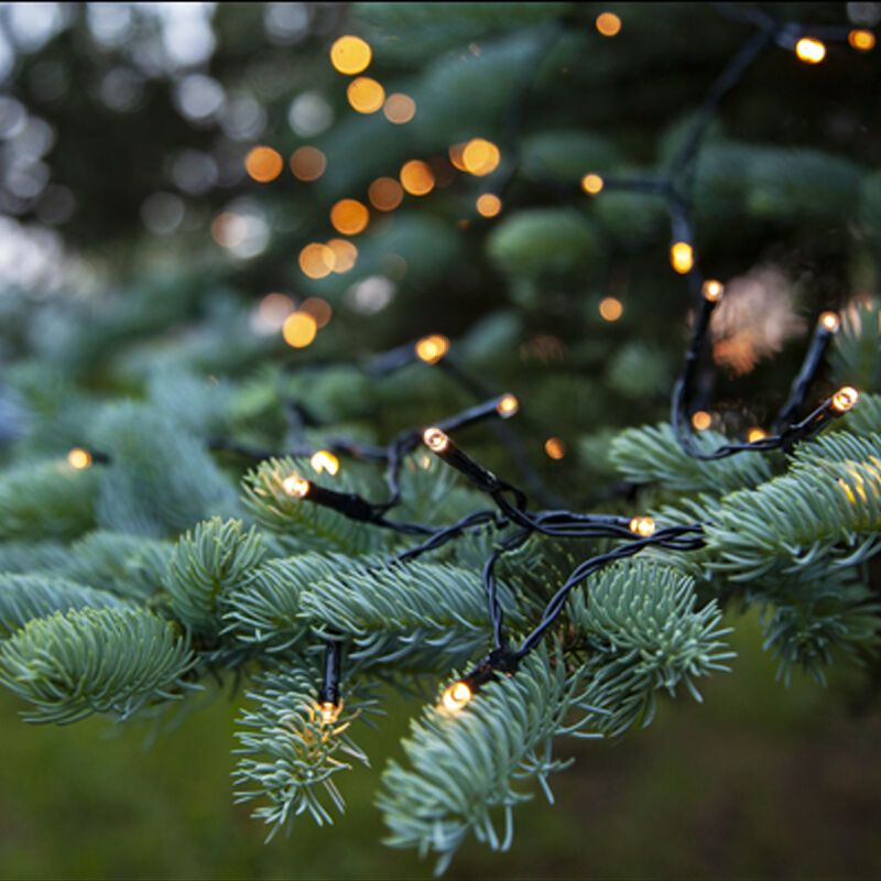 7,2 m LED Weihnachtsbeleuchtung an Batterie, 96 Lampen, drinnen und draußen