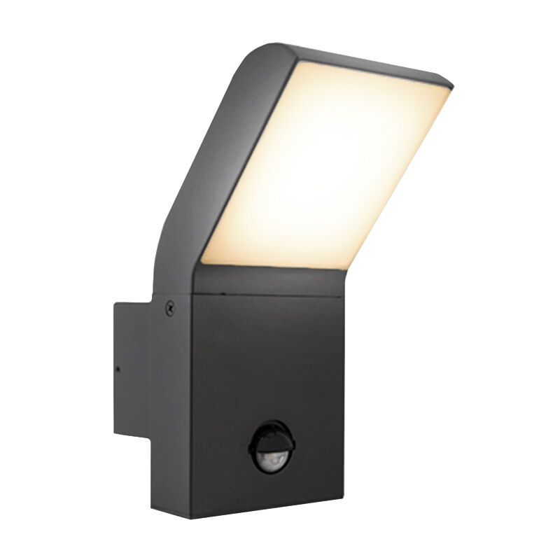 Aluminium Außen Wandleuchte mit Bewegungsmelder Anthrazit, Andor, 12W, 4000K LED, IP54