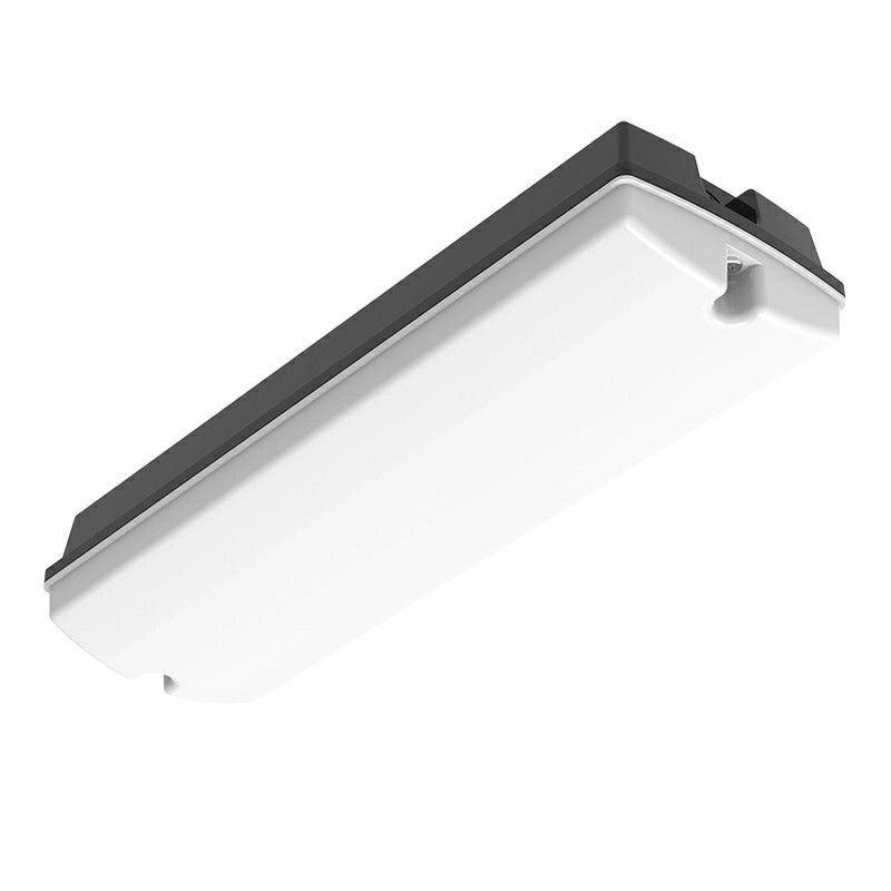 Schwarze Galerie Beleuchtung Kunststoff, Pedram, 3W, White Switch LED, IP66