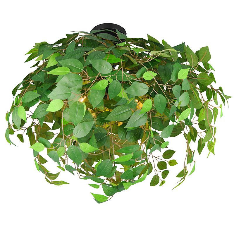 Grüne Deckenlampe Design, Urwa Grüne Deckenlampe Design, Urwa