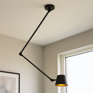 Moderne Deckenleuchte Schwarz, Rinke