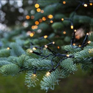 1,8 m LED Weihnachtsbeleuchtung an Batterie, 24 Lampen, drinnen und draußen
