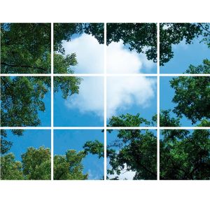 Fotodruck Wolke mit Wald - Set aus 12 Acrylplatten mit Aufdruck, für 60x60 cm LED-Panels