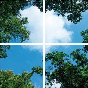 Fotodruck Wolke mit Wald - Set aus 4 Acrylplatten mit Aufdruck, für 60x60 cm LED-Panels