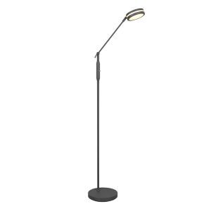 Anthrazit Leselampe Stehlampe Modern, Marjon, 6W, warm- bis kaltweiß einstellbare LED, mit Touch-Dimmer