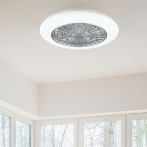 Graue Deckenventilator Modern, Damyan, 30W, RGBW LED, mit Fernbedienung