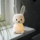 Kunststoff Kinderzimmer Nachtlampe Weiß, Bunny, 0,5W, RGBW LED, mit Schalter