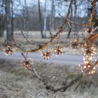 Kunststoff Weihnachtsbeleuchtung Schwarz, 3,1W, 2200K LED, IP44