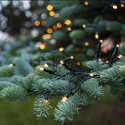 7,2 m LED Weihnachtsbeleuchtung an Batterie, 96 Lampen, drinnen und draußen