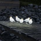 LED Vögel, Weihnachtsmotive - 5er Set