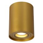 Goldene Aufbauspot Modern, Tube