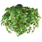 Grüne Deckenlampe Design, Urwa