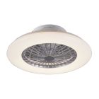 Graue Deckenventilator Modern, Damyan, 30W, warm- bis kaltweiß einstellbare LED, mit Fernbedienung