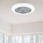 Graue Deckenventilator Modern, Damyan, 30W, RGBW LED, mit Fernbedienung