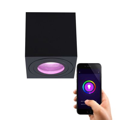 Moderne Smart Deckenleuchte Schwarz, Alion, IP44, 4,5W, RGBW
