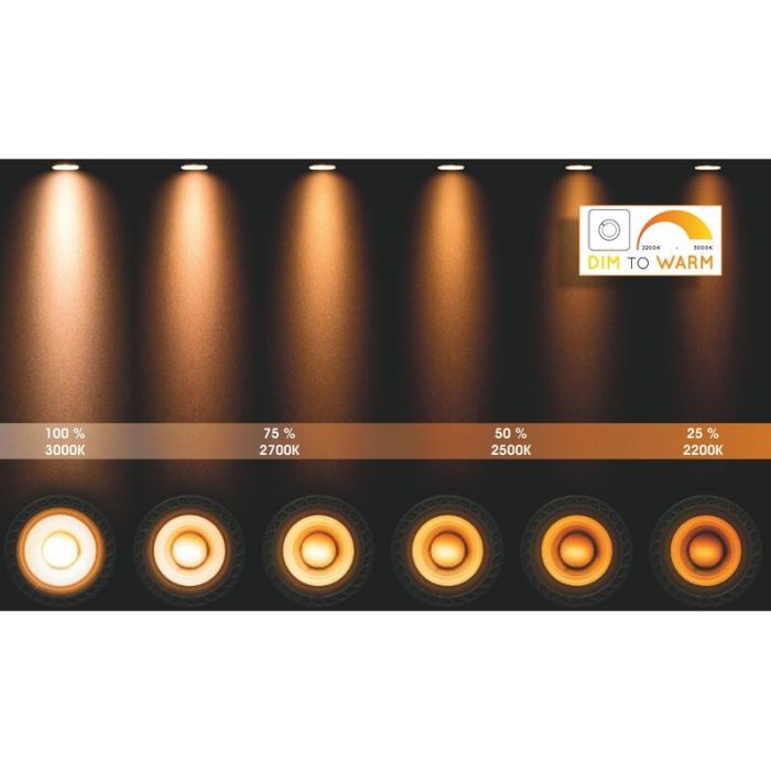 Goldene Wandstrahler Modern, Grony
