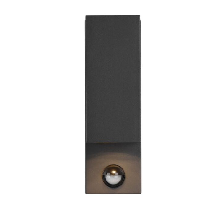 Anthrazit Außen Wandleuchte mit Bewegungsmelder Modern, Laurien, IP44